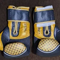 لوازم بوکس و موی تای|تجهیزات ورزشی|فردیس, داوری|دیوار