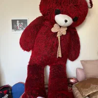 خرس در حد نو ۲ متری