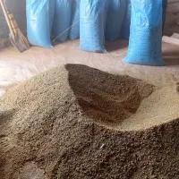 تخم یونجه