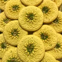 حسابدار خانم مسلط به نرم افزار صبا