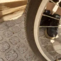 دوچرخه تاشو|دوچرخه، اسکیت، اسکوتر|شیراز, آزادگان|دیوار