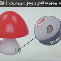 شب‌خواب‌.‌ قارچ