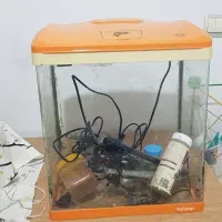 اکواریوم  ماهیران