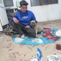 یک عدد توله قدرجونی سرو کله دار