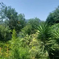 ویلا ۲۴۰متر/۲خواب/شمال/سند/معاوضه|فروش خانه و ویلا|پره‌سر, |دیوار