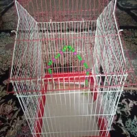 قفس پرنده