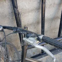 دوچرخه دماوند|دوچرخه، اسکیت، اسکوتر|تربت جام, میان جام|دیوار