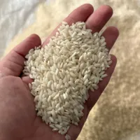 برنج غریب|خوردنی و آشامیدنی|رشت, منظریه|دیوار