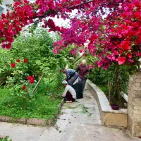 فروش واحد اپارتمان