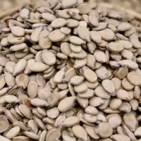 تخمه کلاله پوست کاغذی پخته شده