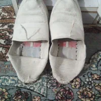 گیوه اصلی استخوانی