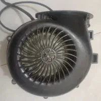 فن حلزونی