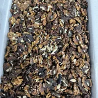 مغزگردوخورشتی