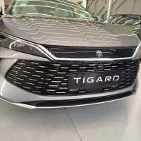 چین ال / بی وای دئ (گودرزی)