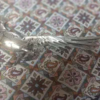 طاووس برنز