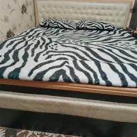 تخت خواب ضد خش|تخت و سرویس خواب|اهواز, فاز ۲ پادادشهر|دیوار