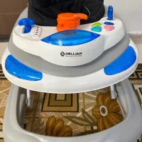 روروئک،برند دلیجان