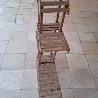 استند گل|گل و گیاه طبیعی|مشهد, آزادشهر|دیوار