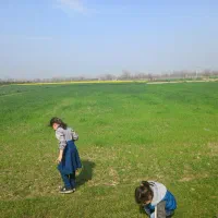 فروش زمین کشاورزی