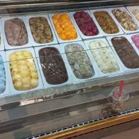 پخش بستنی دومینو