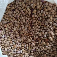 لوبیاچیتی|خوردنی و آشامیدنی|یاسوج, |دیوار