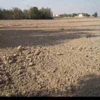 فروش-زمین-کشاورزی-مهران-آب-چاه-قطره-ای