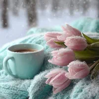 آموزش زبان انگلیسی از صفر(آنلاین)