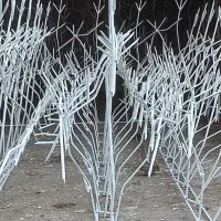 ساخت ونصب شاخ گوزنی|خدمات پیشه و مهارت|محمدیه-قزوین, |دیوار