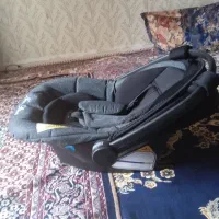 کریربچه