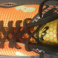 کفش کتانی و فوتسال|کیف، کفش، کمربند|تهران, یوسفآباد|دیوار