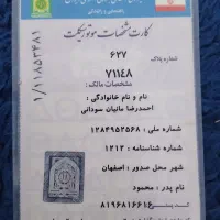 موتور هندا125مدل82 پلاک ملی