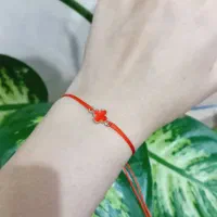 اکسسوری های خاص و ارزان