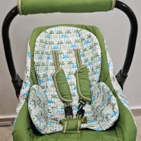 کریر نوزاد دلیجان