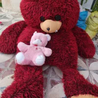 خرس پشمالو بزرگ سه متر در دو‌متر