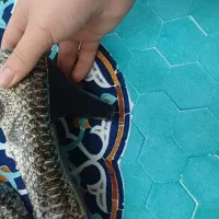 کفش های مجلسی|کیف، کفش، کمربند|الوند, |دیوار