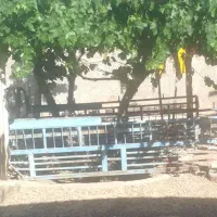 باربند نیسان