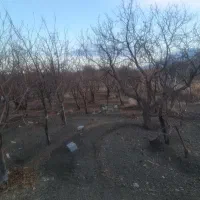 مزرعه-کشاورزی-حومه-باغبهادران