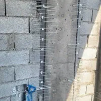 اجرای رابیتس