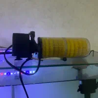 اکواریوم ریملس|ماهی|نسیم‌شهر, |دیوار