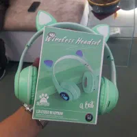 هدفون گربه ای