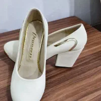 کفش پاشنه دار|کیف، کفش، کمربند|فسا, |دیوار