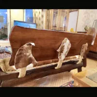 نیم ست جنگلی|مبلمان خانگی و میز عسلی|اصفهان, باغ زرشک|دیوار