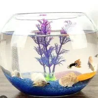 تنگ ماهی عمده