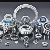 بازاریاب خانم