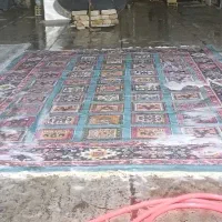 فرش طوسی ۹متری|فرش|چهارباغ, |دیوار