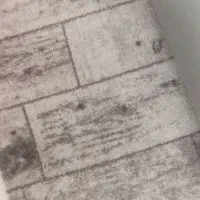 فروش موکت