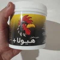 جوجه لاری خروس لاری مرغ