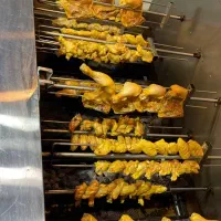 جوجه گردان ذغالی( قیمت استثنایی )