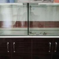 فروش اکواریوم|ماهی|ضیاء آباد, |دیوار