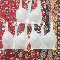 مانکن سوتین